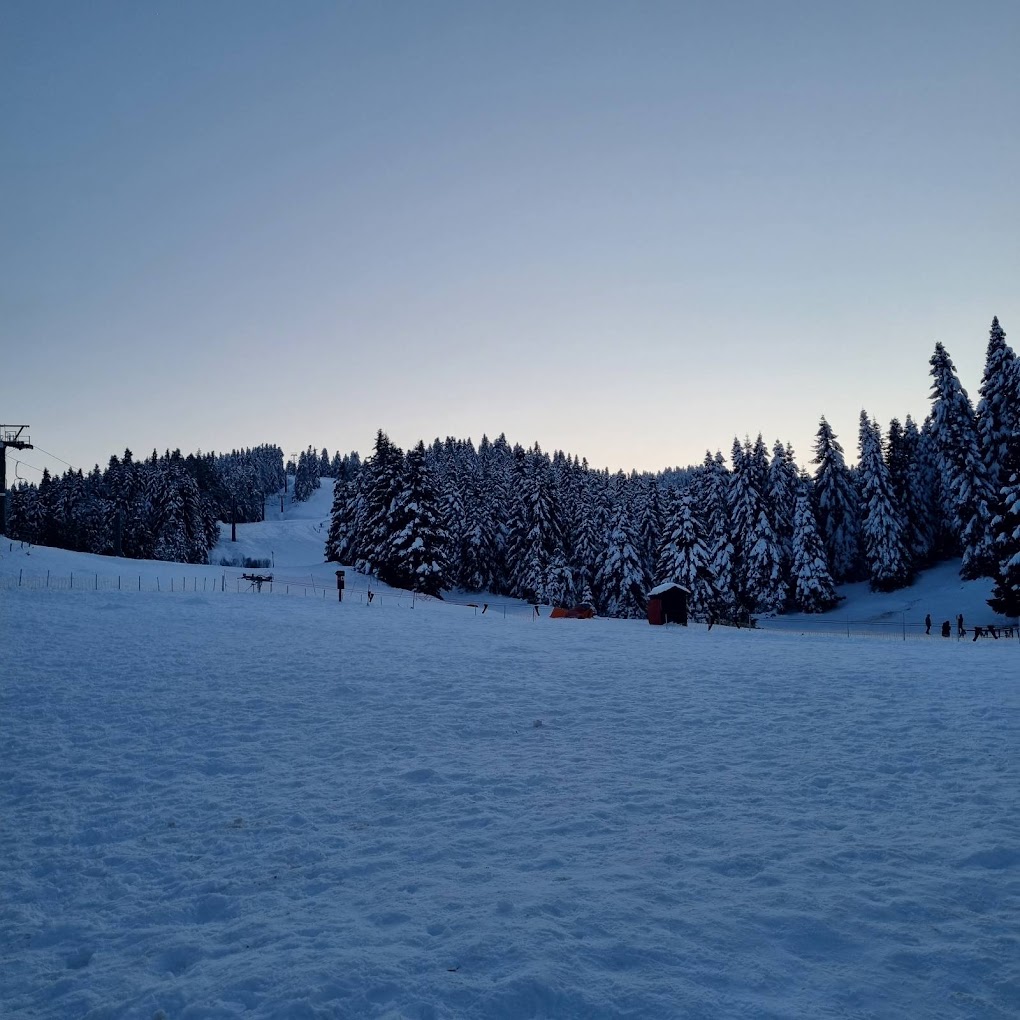 Koziakas – Pertouli in Greece - a snow covered ski slope with trees in the background.