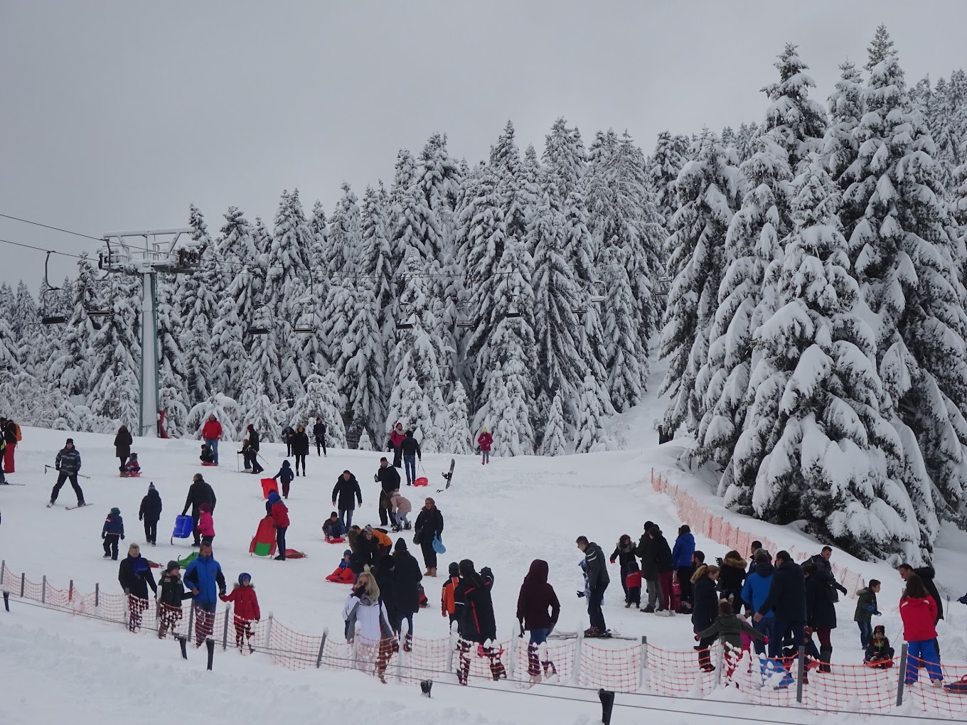 Koziakas – Pertouli in Greece - a group of people skiing down a snowy slope.