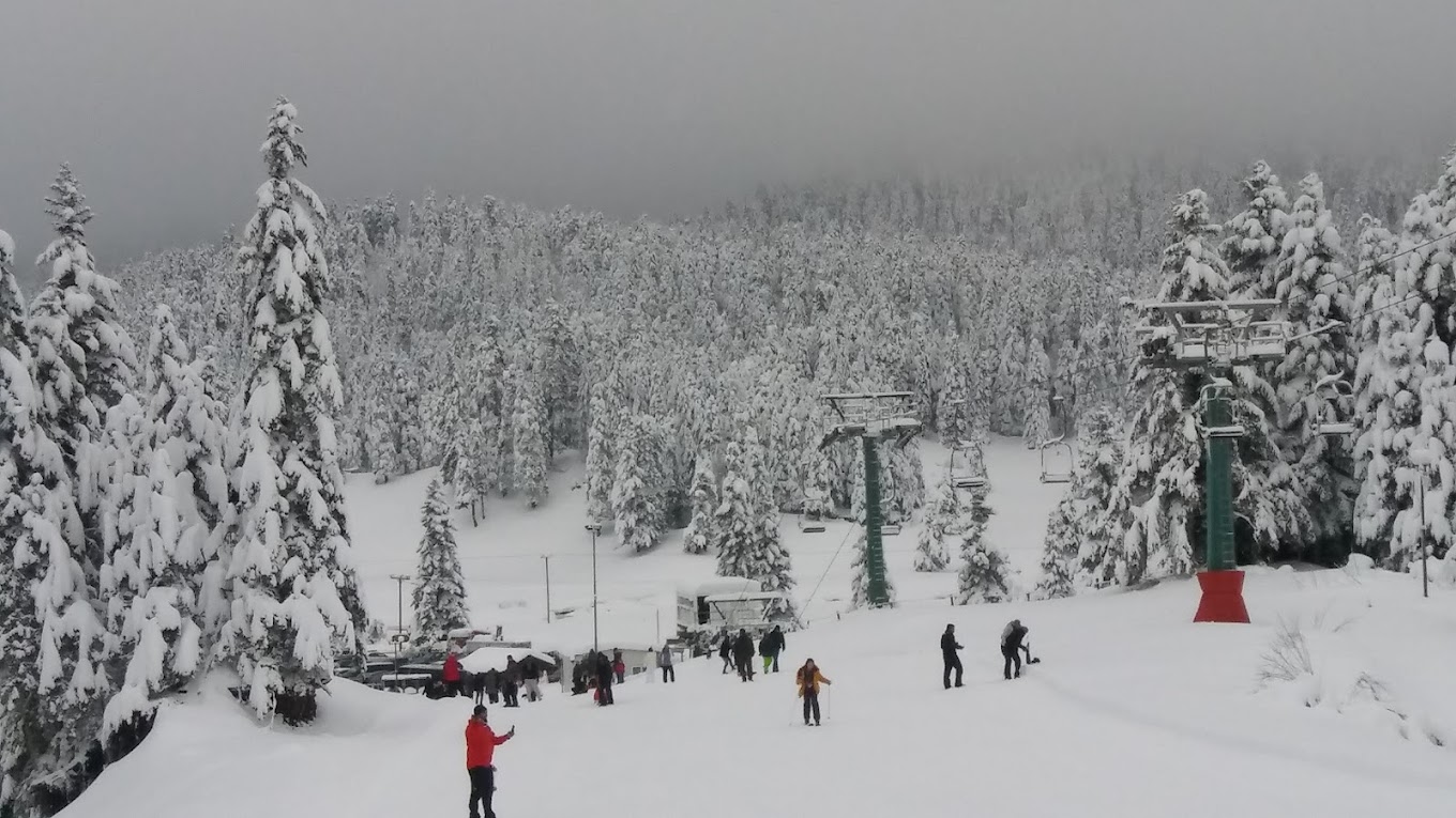 Koziakas – Pertouli in Greece - a group of people walking through the snow covered trees.