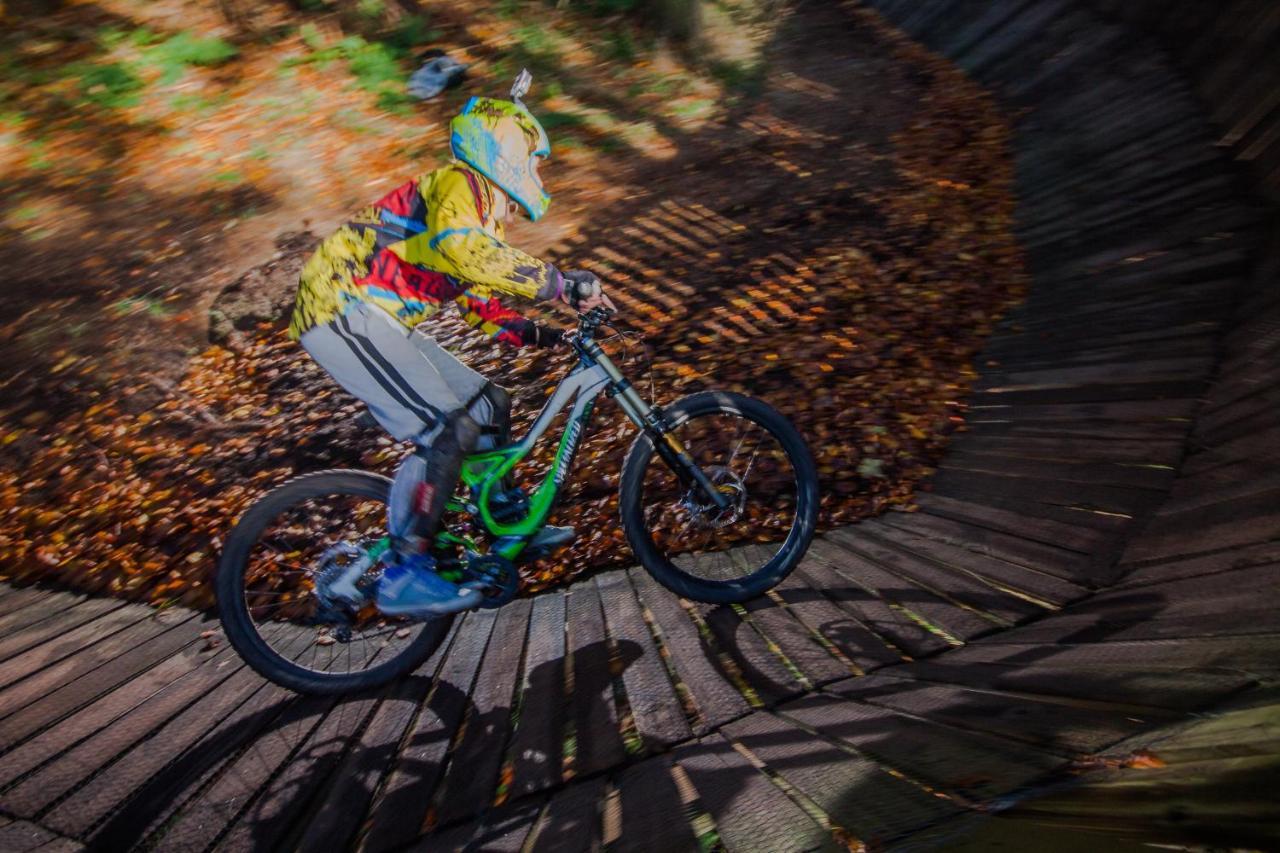 Dzikowiec – Boguszów-Gorce in Poland - a young boy riding his bike through the woods.