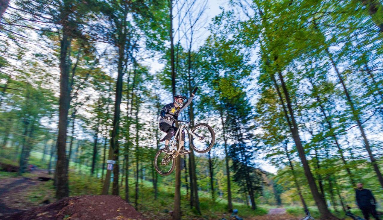Dzikowiec – Boguszów-Gorce in Poland - a man riding a mountain bike through the woods.