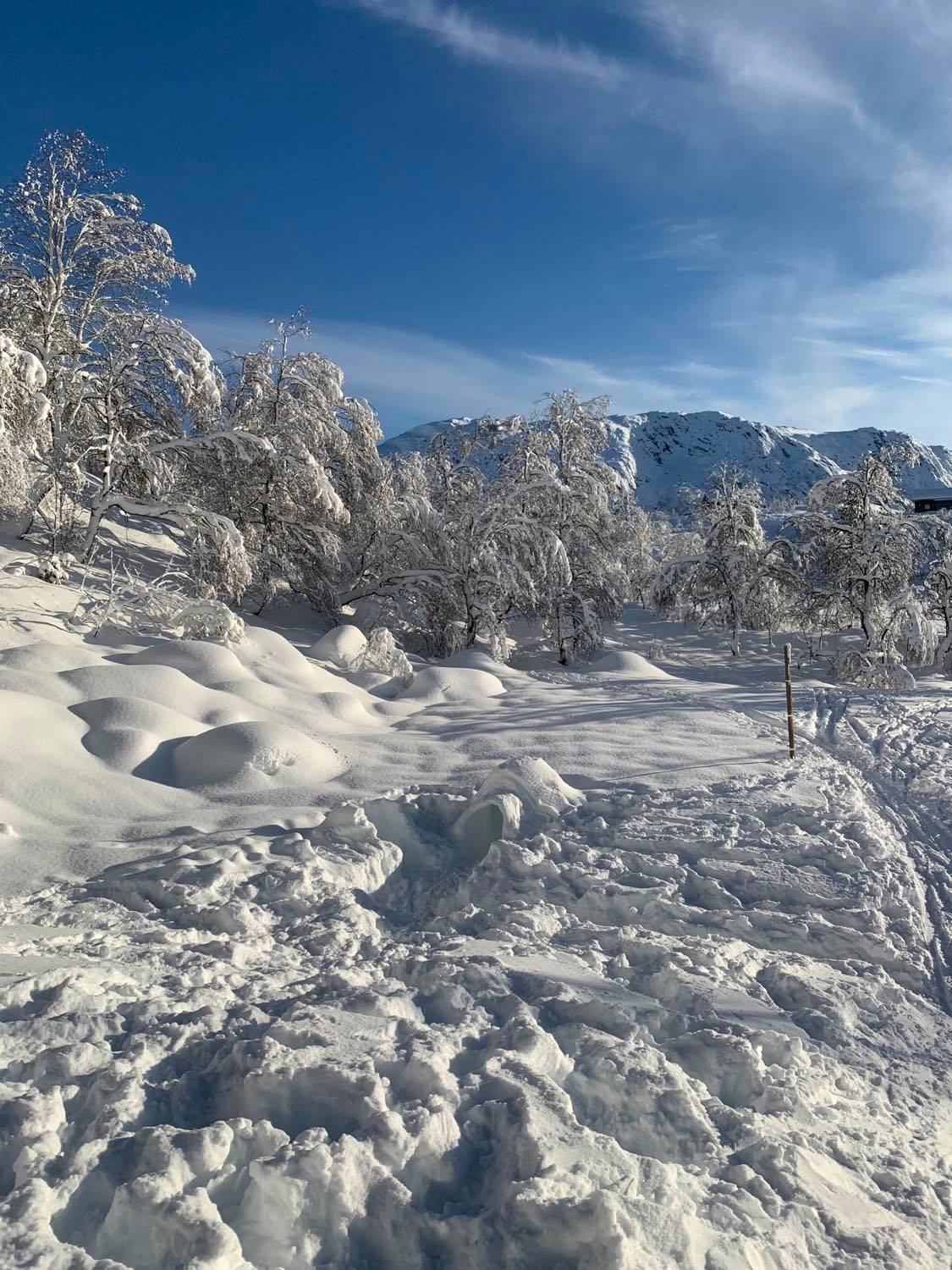 Stavtjørn in Norway - the snow is white in color.