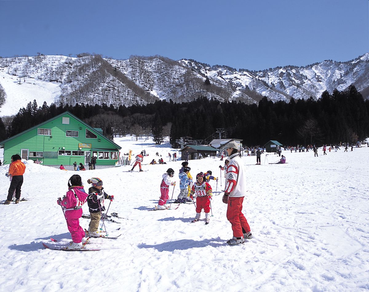 Nakazato Snow Wood in Japan - a group of people skiing down a snow covered hill.