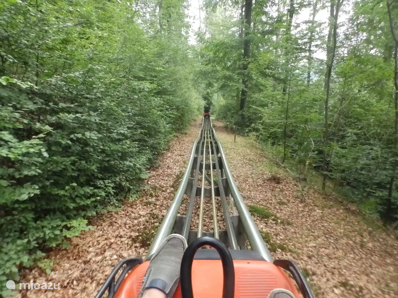 Fort Fun Winterwelt – Bestwig in Germany - a person riding on a roller in the woods.
