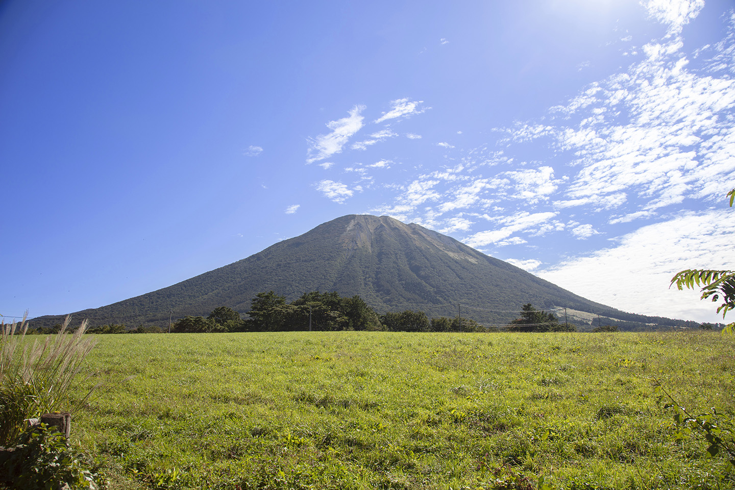 Daisen – Masumizu Kogen in Japan - a large mountain in the distance.