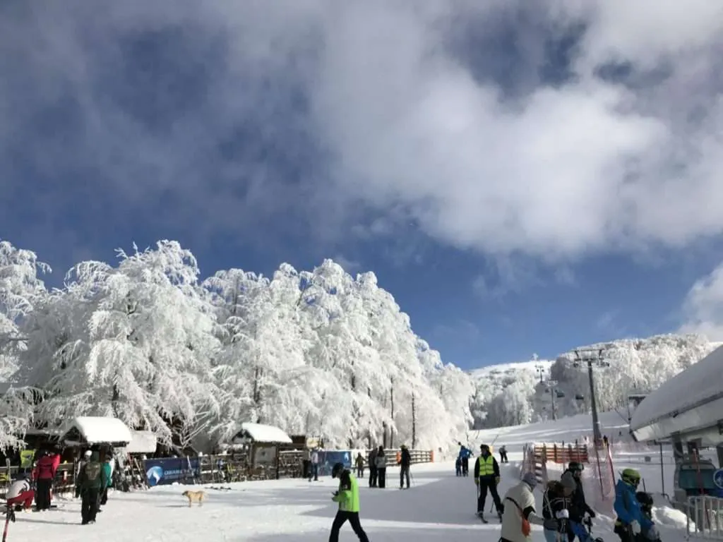 Crni Vrh in Serbia - a group of people skiing down a snow covered mountain.