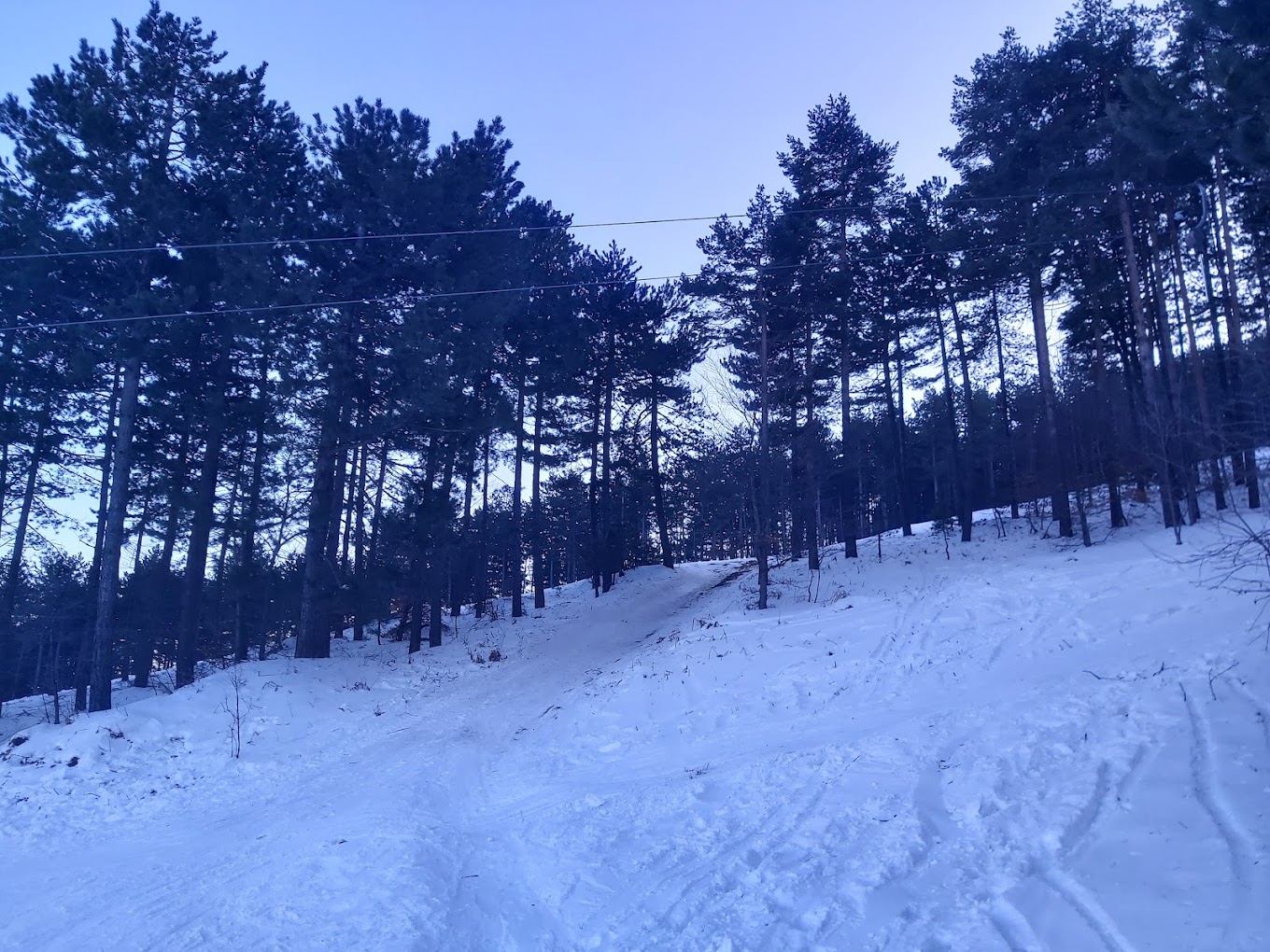 Sneško Goč in Serbia - a ski slope with trees in the background.