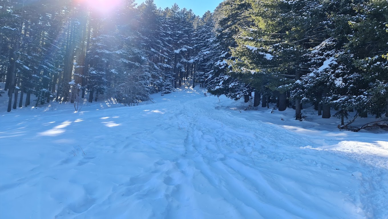 Kopanki in North Macedonia - a snow covered road in the woods.