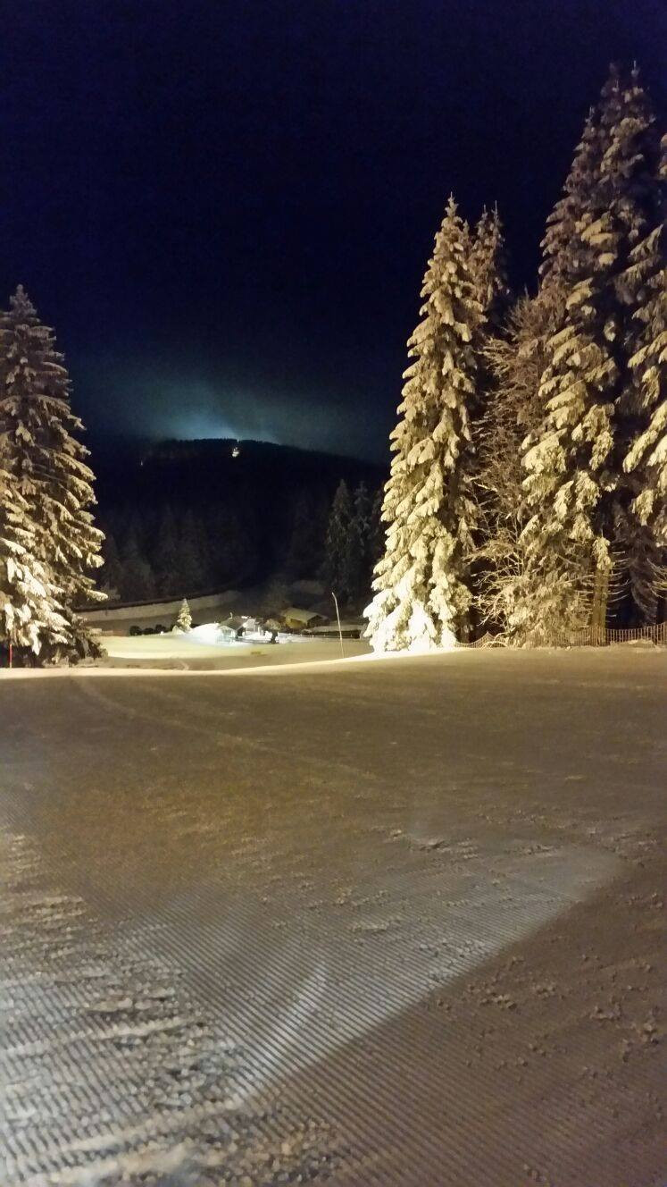 Haldenköpfle in Germany - a snow covered field with trees in the background.