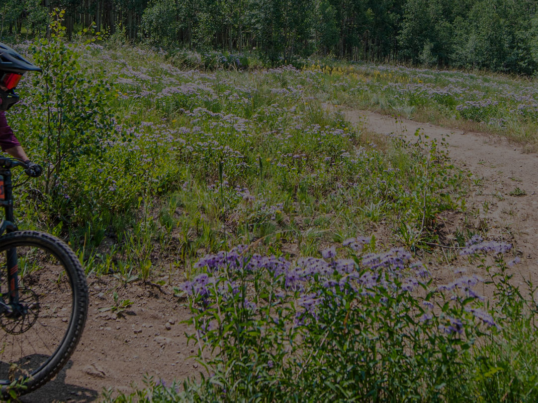 Crested Butte in USA - a person riding a mountain bike on a trail.