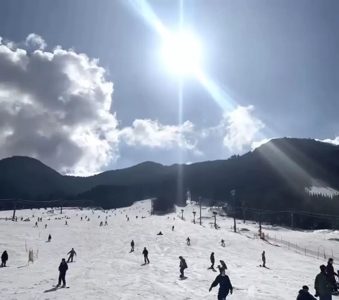 Hiruzen Bear Valley in Japan - a group of people skiing down a snow covered slope.