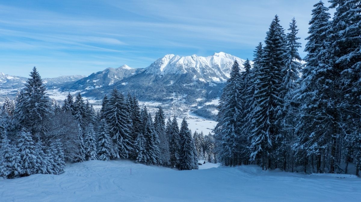 Söllereck – Oberstdorf in Germany - a snowy landscape with trees and mountains in the background.