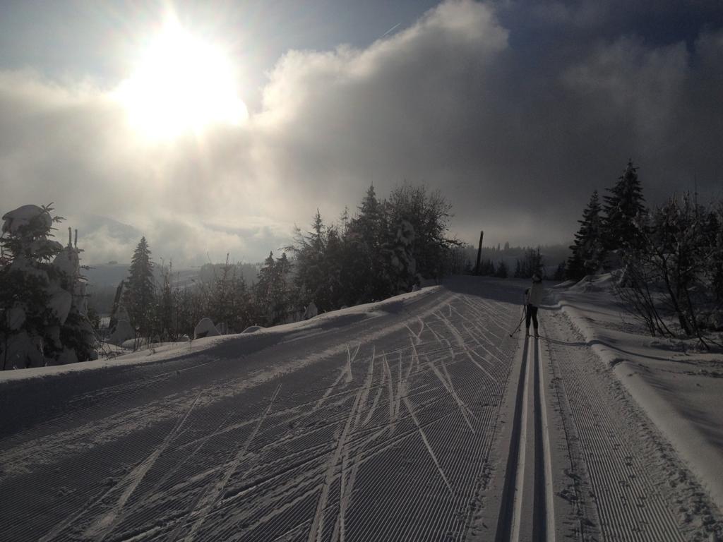 Ottenleue – Sangernboden in Switzerland - a person walking down a snow covered road.