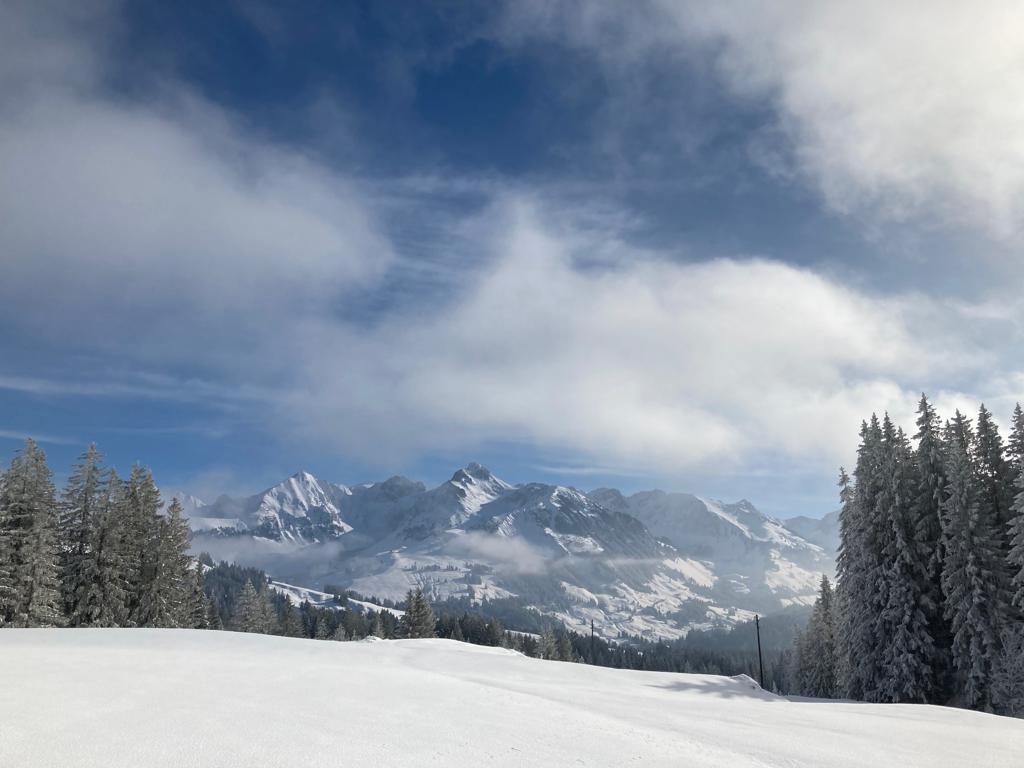 Ottenleue – Sangernboden in Switzerland - snow covered trees and mountains in the background.