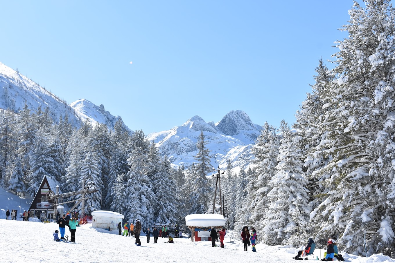 Malyovitsa in Bulgaria - a group of people walking through the snow covered trees.