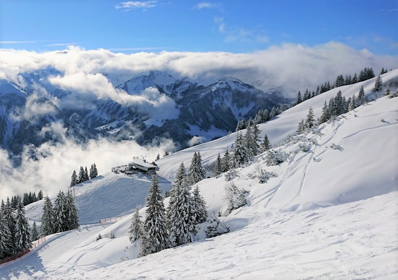 Winter sports enthusiasts enjoying their time at Diedamskopf – Schoppernau ski resort in Bregenz, Vorarlberg, Austria. The scene showcases a stunning snow-covered landscape.