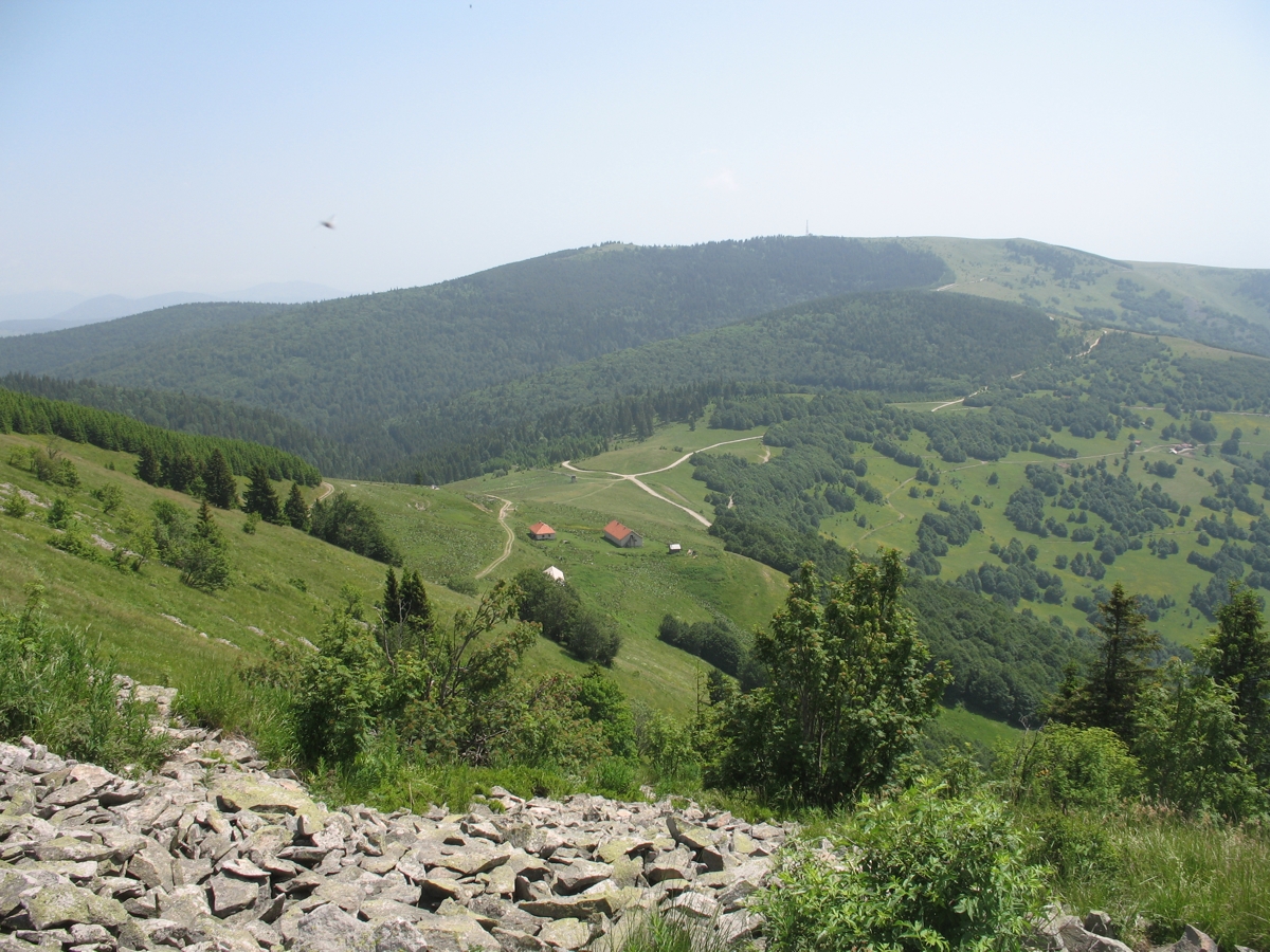 Golija – Novi Pazar in Serbia - the sky is clear and blue.