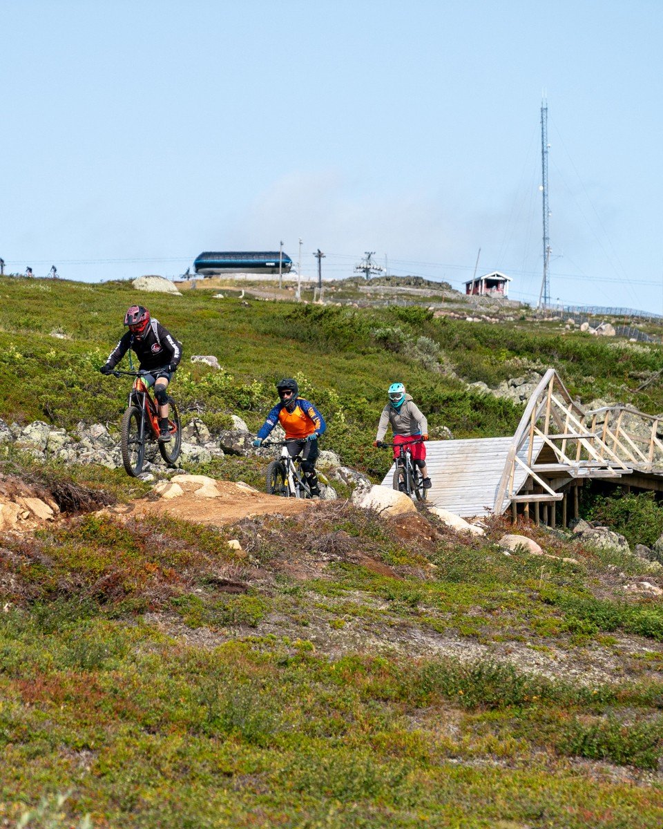 Dundret Lapland – Gällivare in Sweden - a group of people riding bikes down a hill.