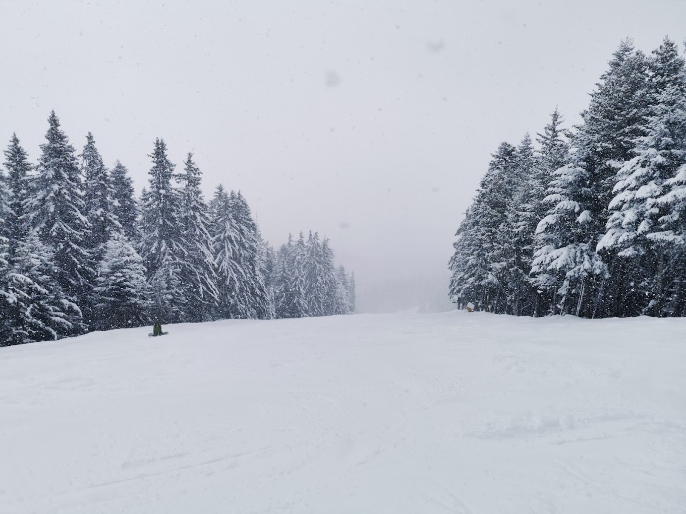 Borovets in Bulgaria - a person skiing down a snow covered slope.