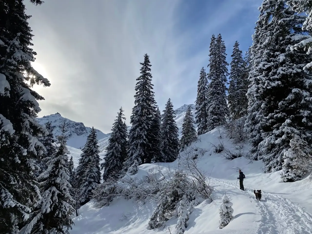 Gargellen in Austria - a person walking through the snow covered trees.