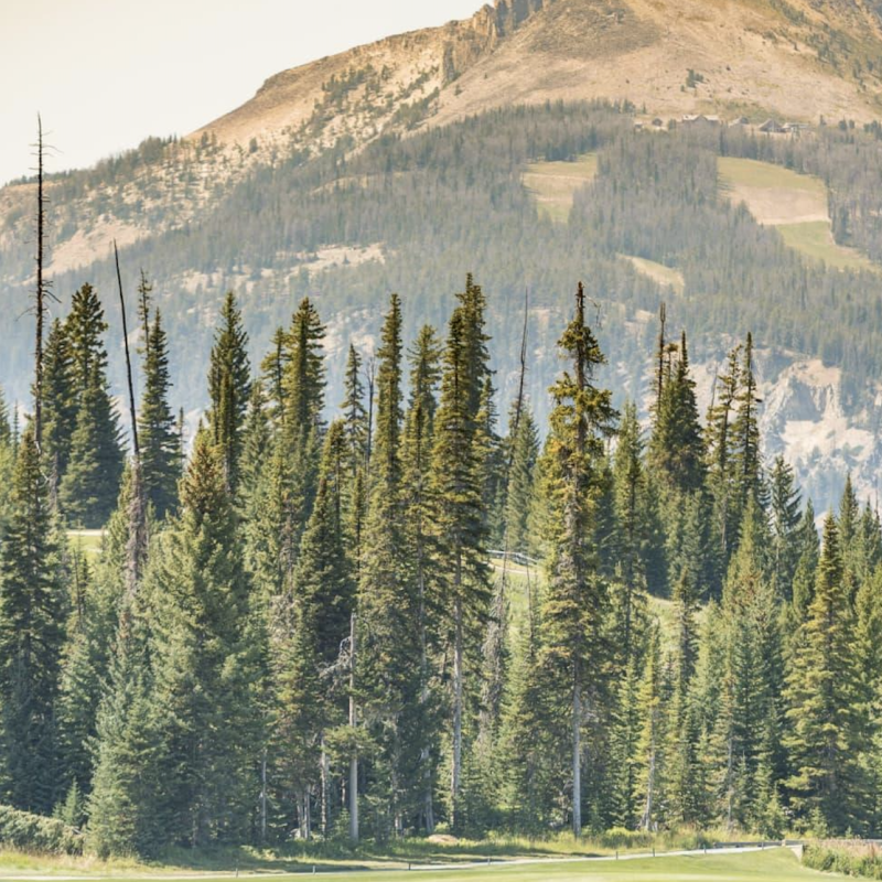 View of the stunning Yellowstone Club in Big Sky, Montana showcasing a snow-covered mountain, ski resort facilities including a ski lift, and a lush forest of trees. A mountain bike is also visible.