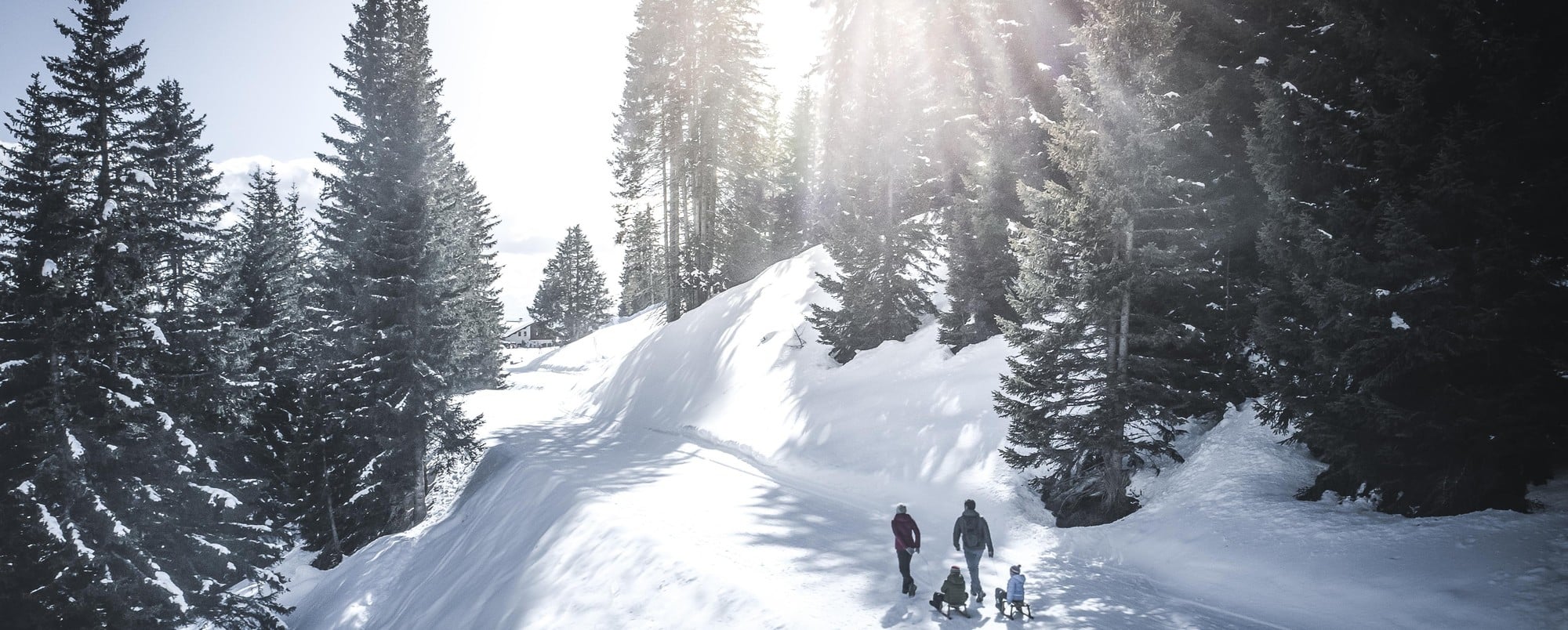 A vibrant winter sports scene at Meran 2000 ski resort in South Tyrol Italy featuring a family and a group of people enjoying a day of skiing.