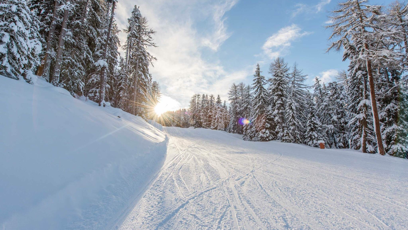 Comprensorio Sciistico Belpiano in Italy - the sun is shining through the trees in the snow.