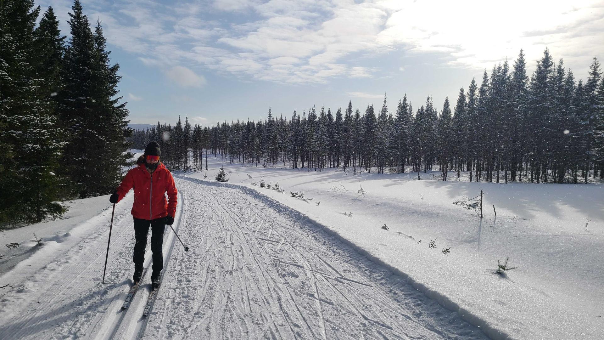 Le Massif de Charlevoix in Canada - a person cross country skiing on a trail.