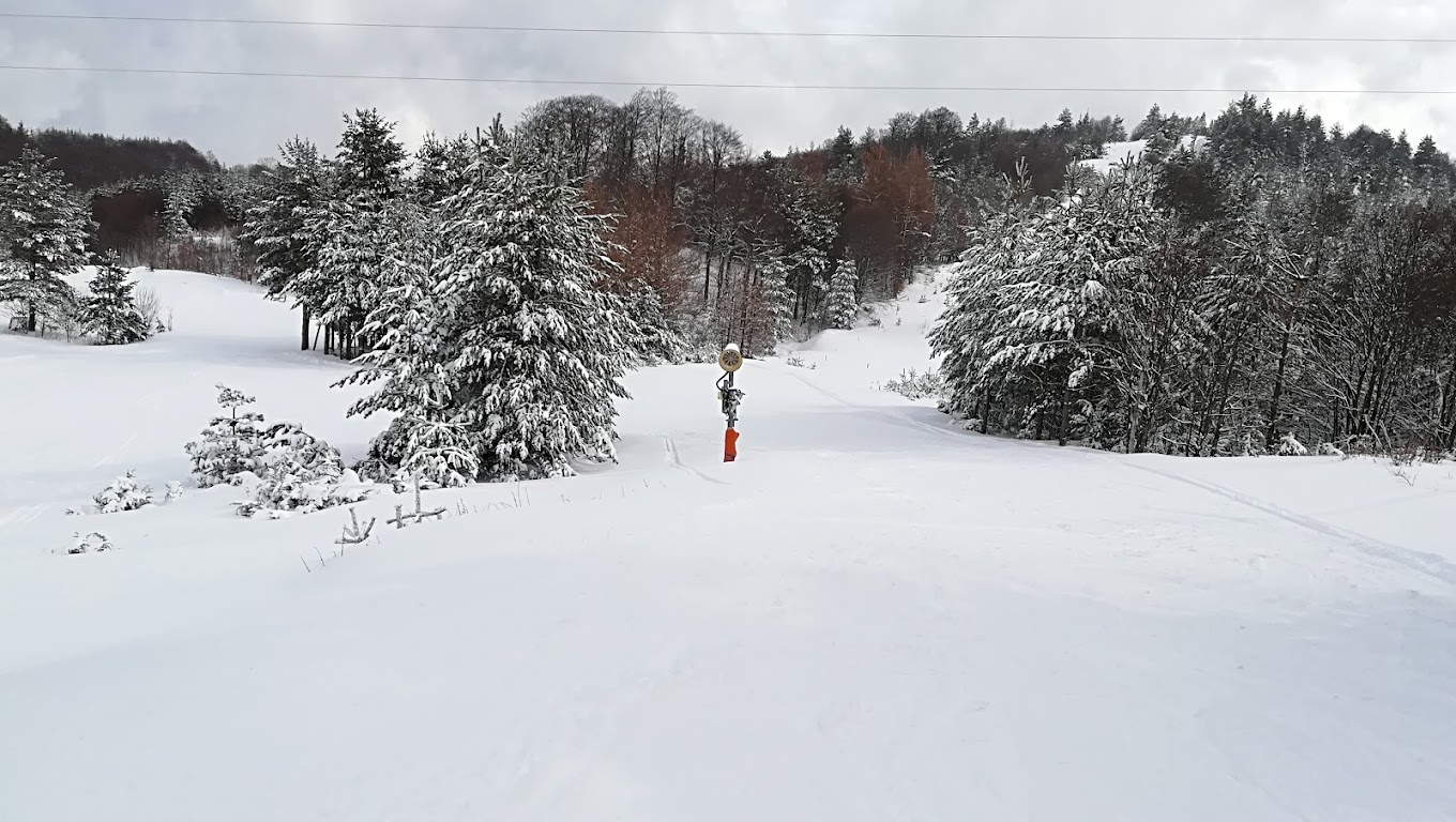 Ossogovo in Bulgaria - a person is skiing down a hill covered in snow.