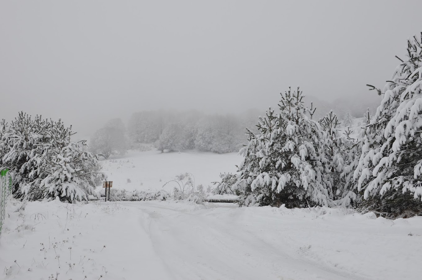 Ossogovo in Bulgaria - a snow covered road with trees and bushes.