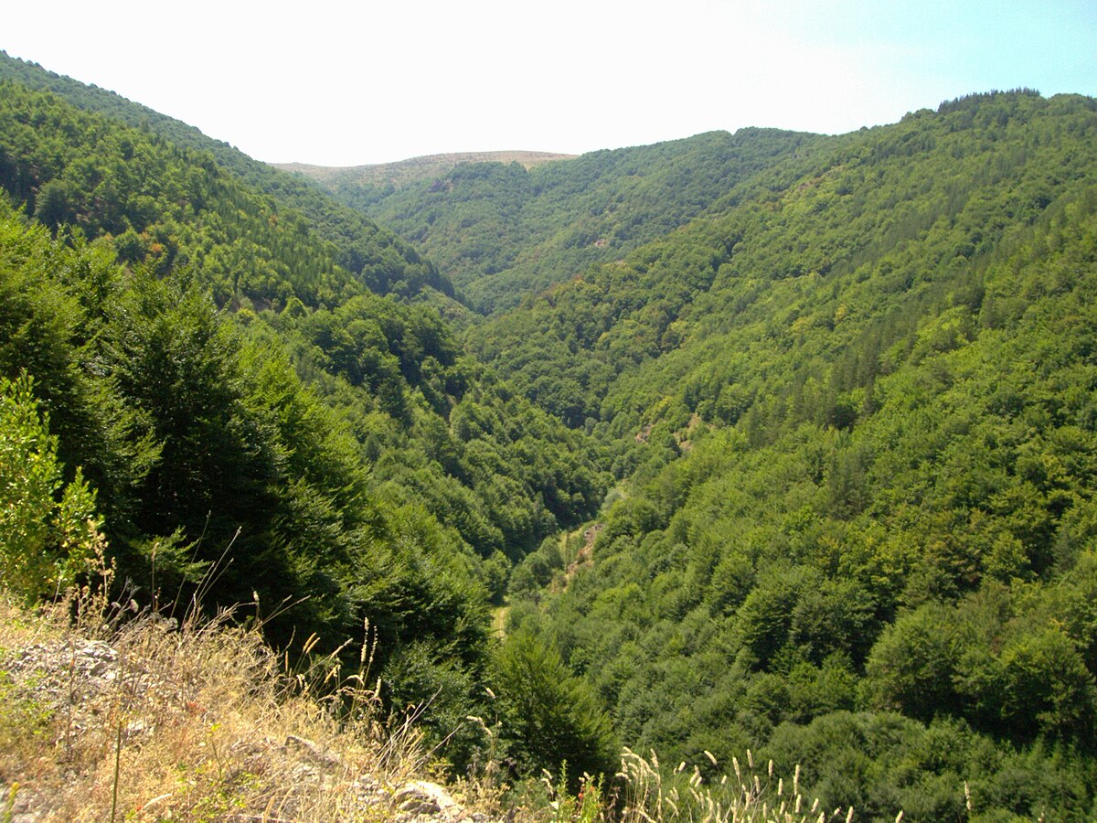 Ossogovo in Bulgaria - the view from the top of the mountain.