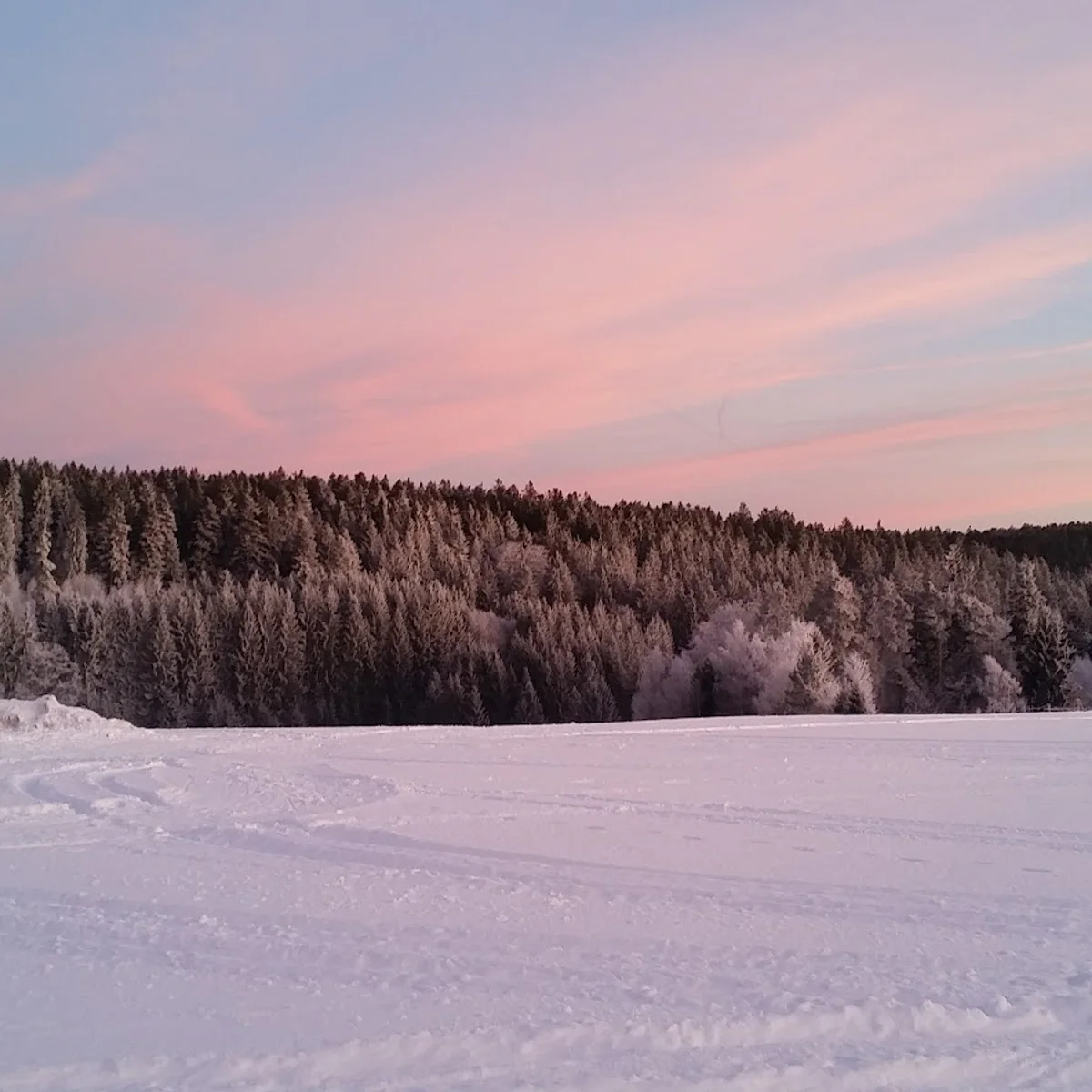Simmersfeld in Germany - a snow covered field with trees in the background.