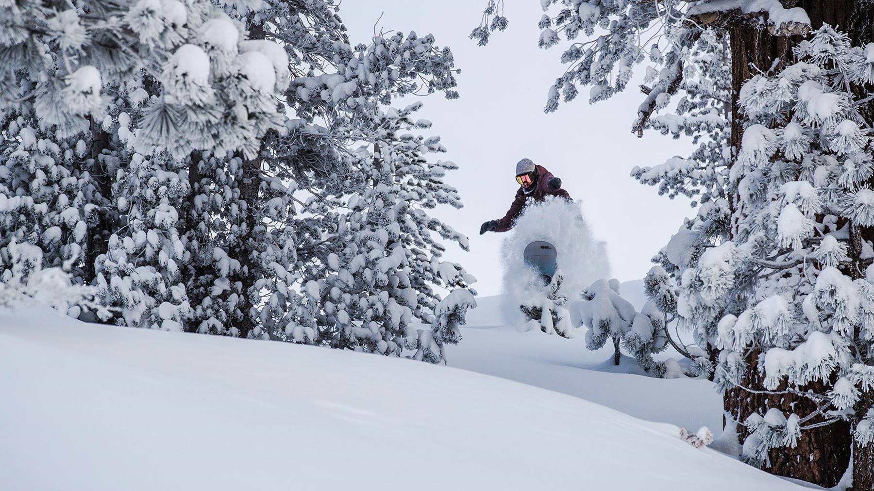 June Mountain in USA - a person riding a snowboard down a snowy slope.