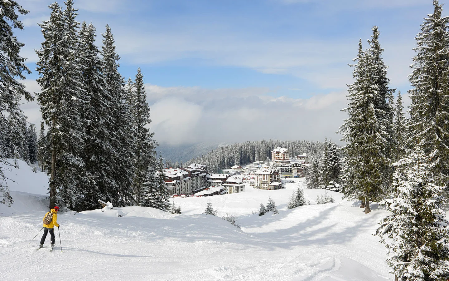Pamporovo in Bulgaria - the trees are covered in snow.