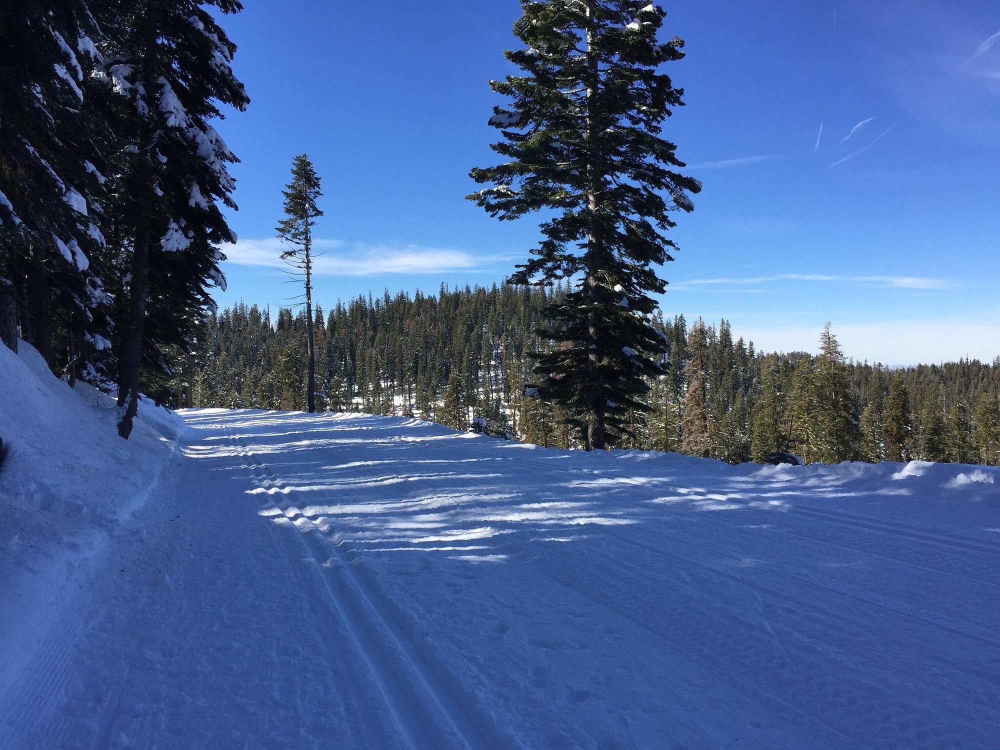 A winter sports scene at Badger Mountain Washington State USA with skiers enjoying the snow-covered slopes. In the backdrop a ski lift can be slightly detected enhancing this snowy adventure.