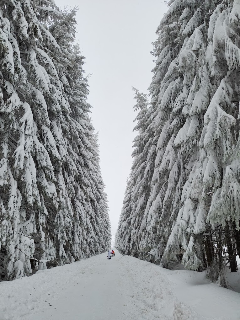 Uzana in Bulgaria - a person walking down a snow covered road.