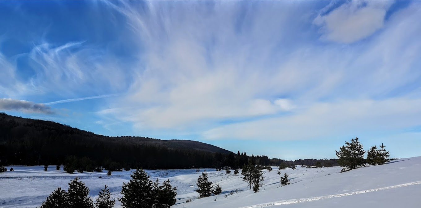 Uzana in Bulgaria - a snowy landscape with trees and mountains in the background.