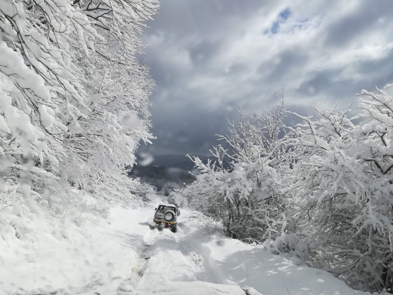 Uzana in Bulgaria - a snow covered road with trees and bushes.