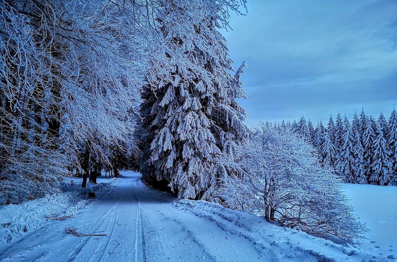Uzana in Bulgaria - a snowy road in the middle of a forest.