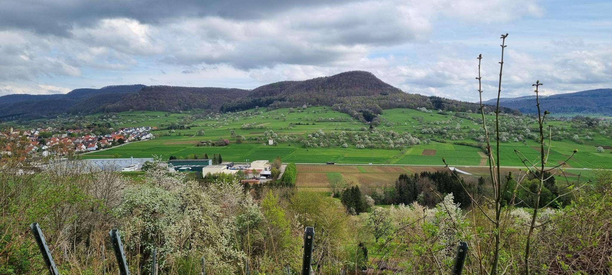 Salmendingen in Germany - a view from the top of a hill.