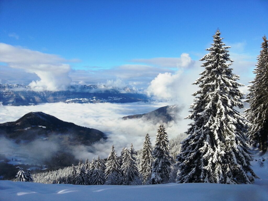 Le Grand Plan – Col du Barioz in France - snow covered trees in the mountains.