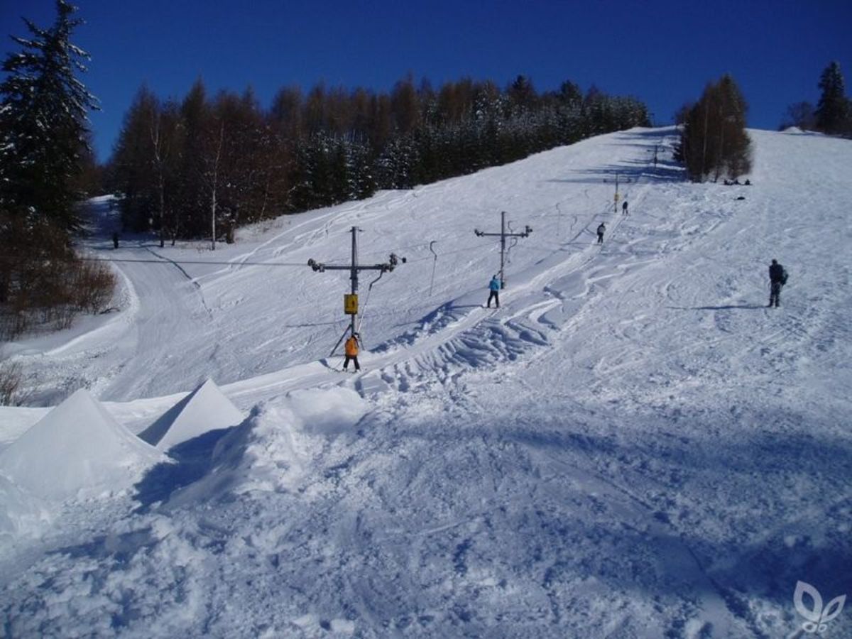 Drienica in Slovakia - a group of people skiing down a snowy slope.