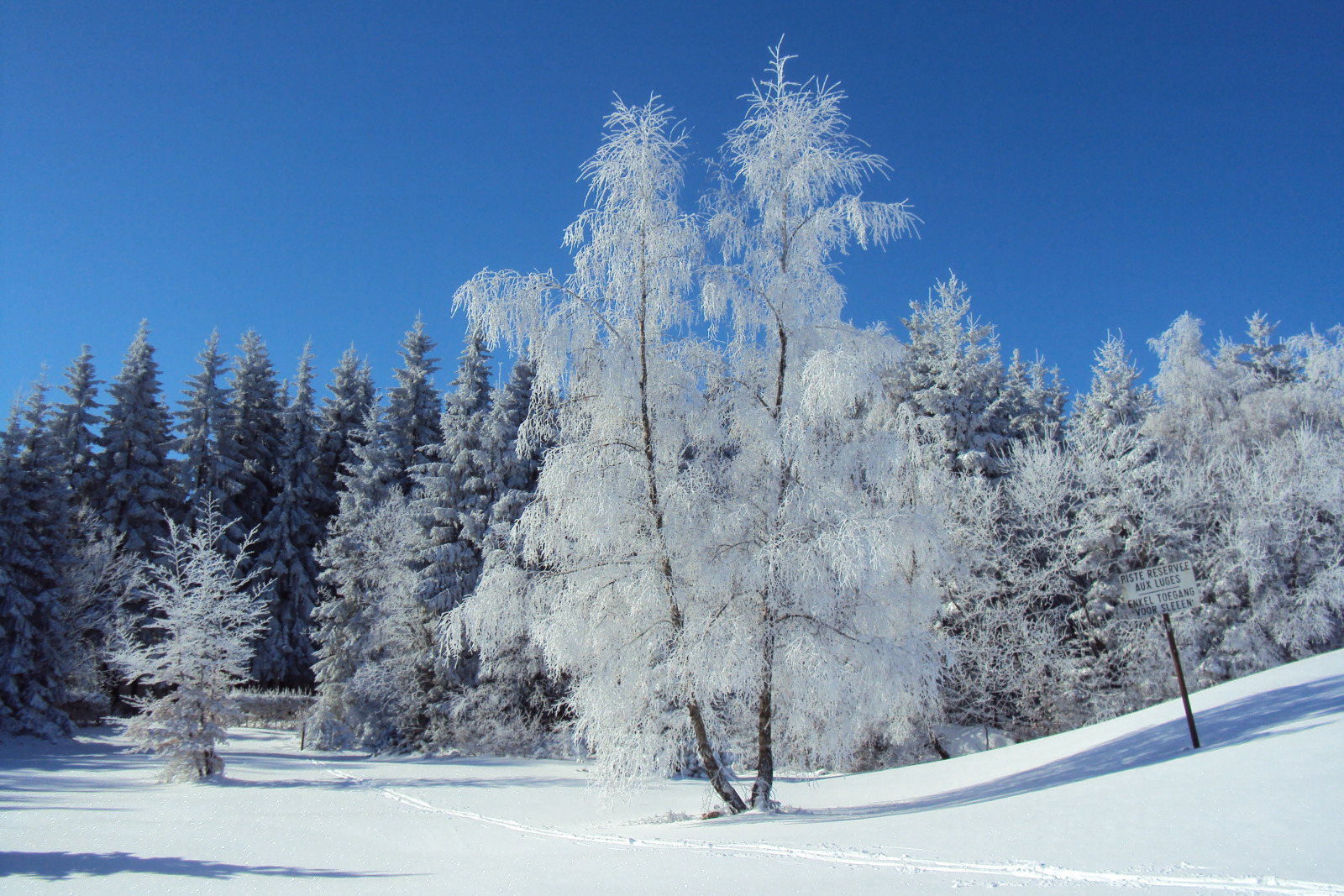 Val de Wanne in Belgium - a clear blue sky.