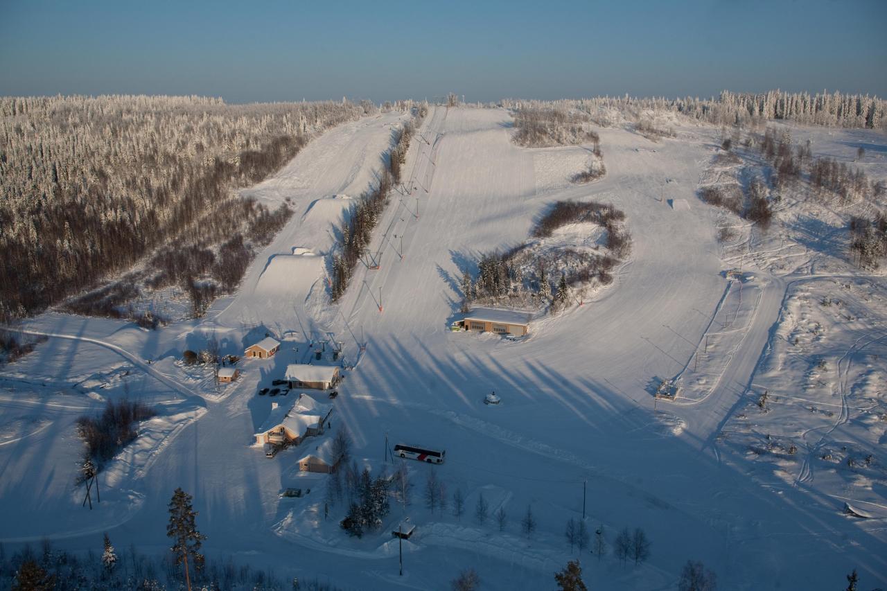 Mustavaara in Finland - a snowy landscape with trees and snow covered ground.