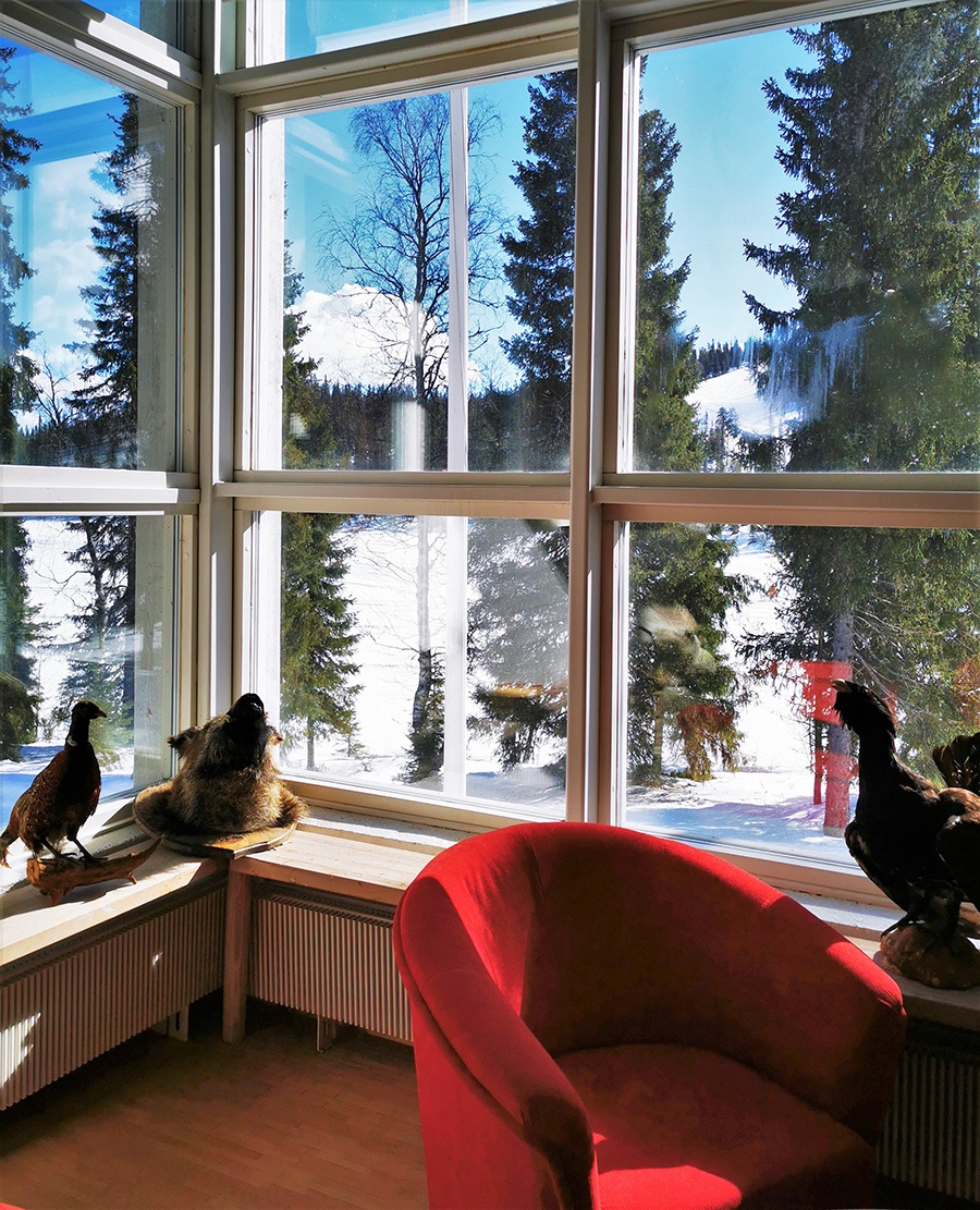 Kirikeskus in Finland - a red chair in front of a window.