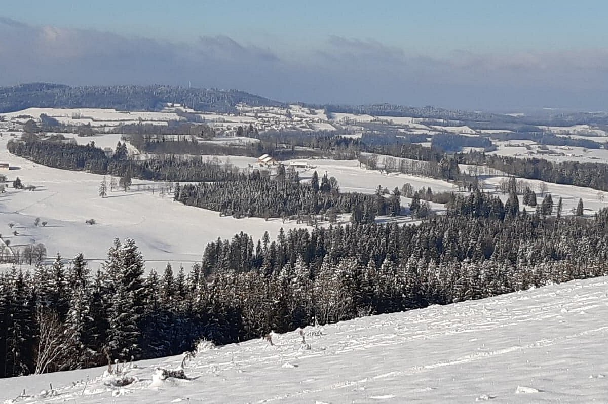 La Combe Saint-Pierre in France - a view of snow covered mountains and trees.