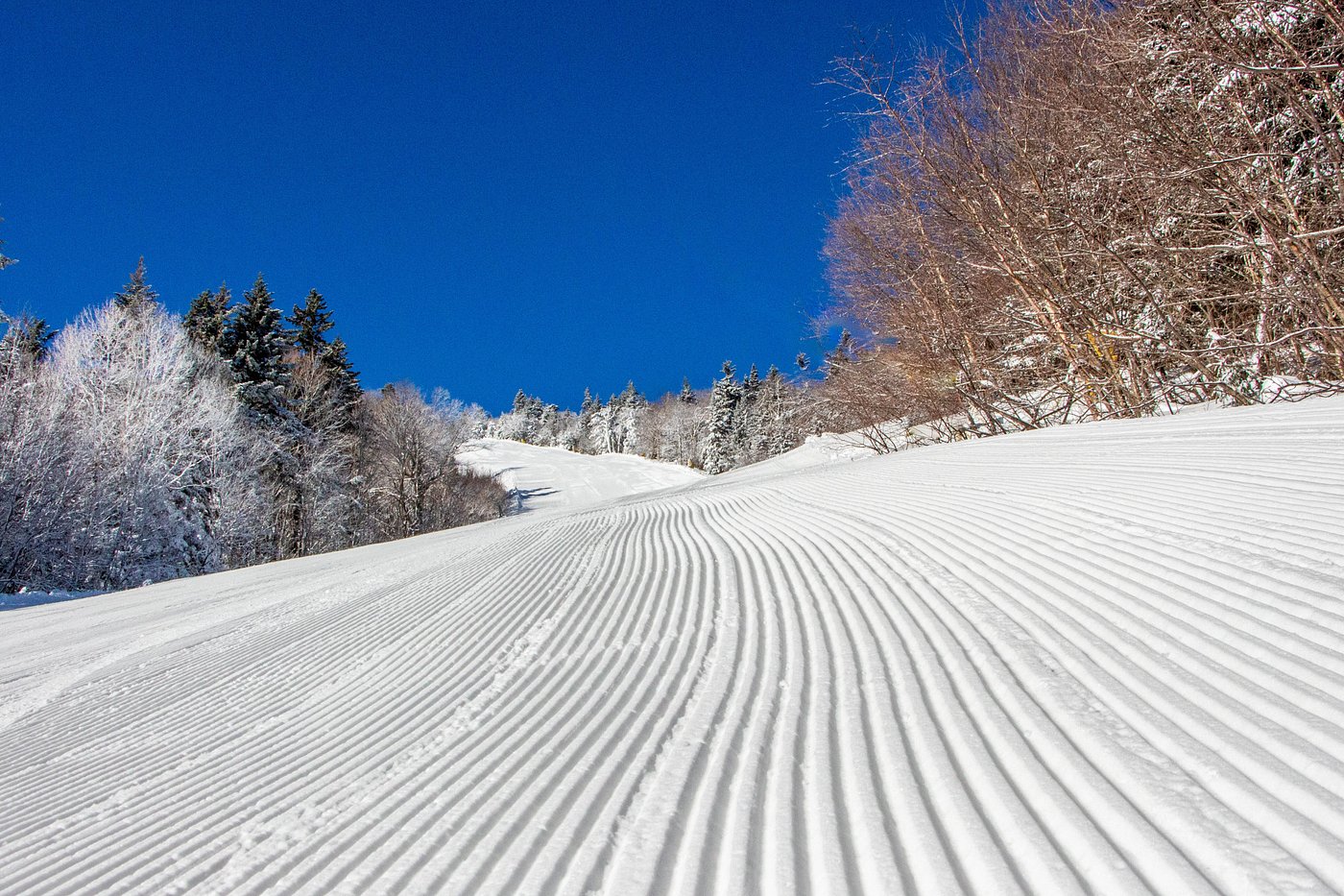 Stratton Mountain Resort in USA - a ski slope with trees in the background.