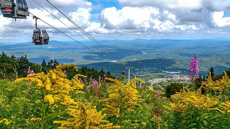 Stratton Mountain Resort in USA - a view of the mountains from the top of a mountain.