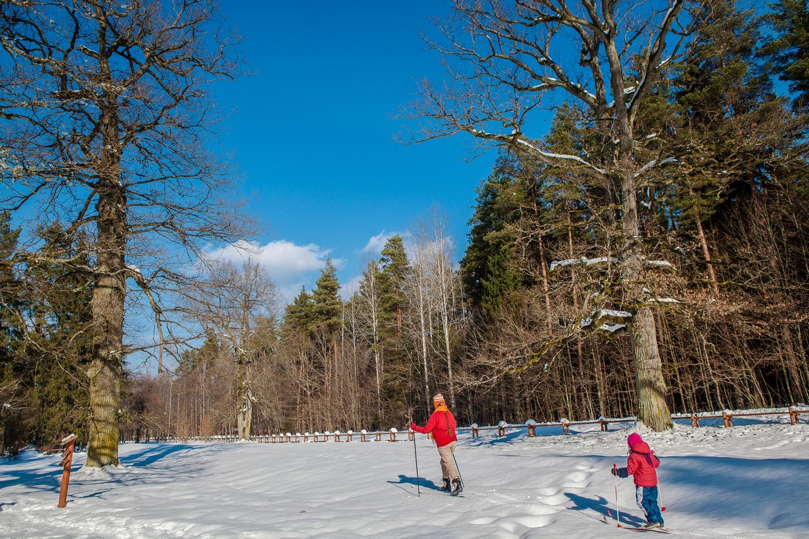 Cisowa in Poland - two people walking through the snow in the woods.
