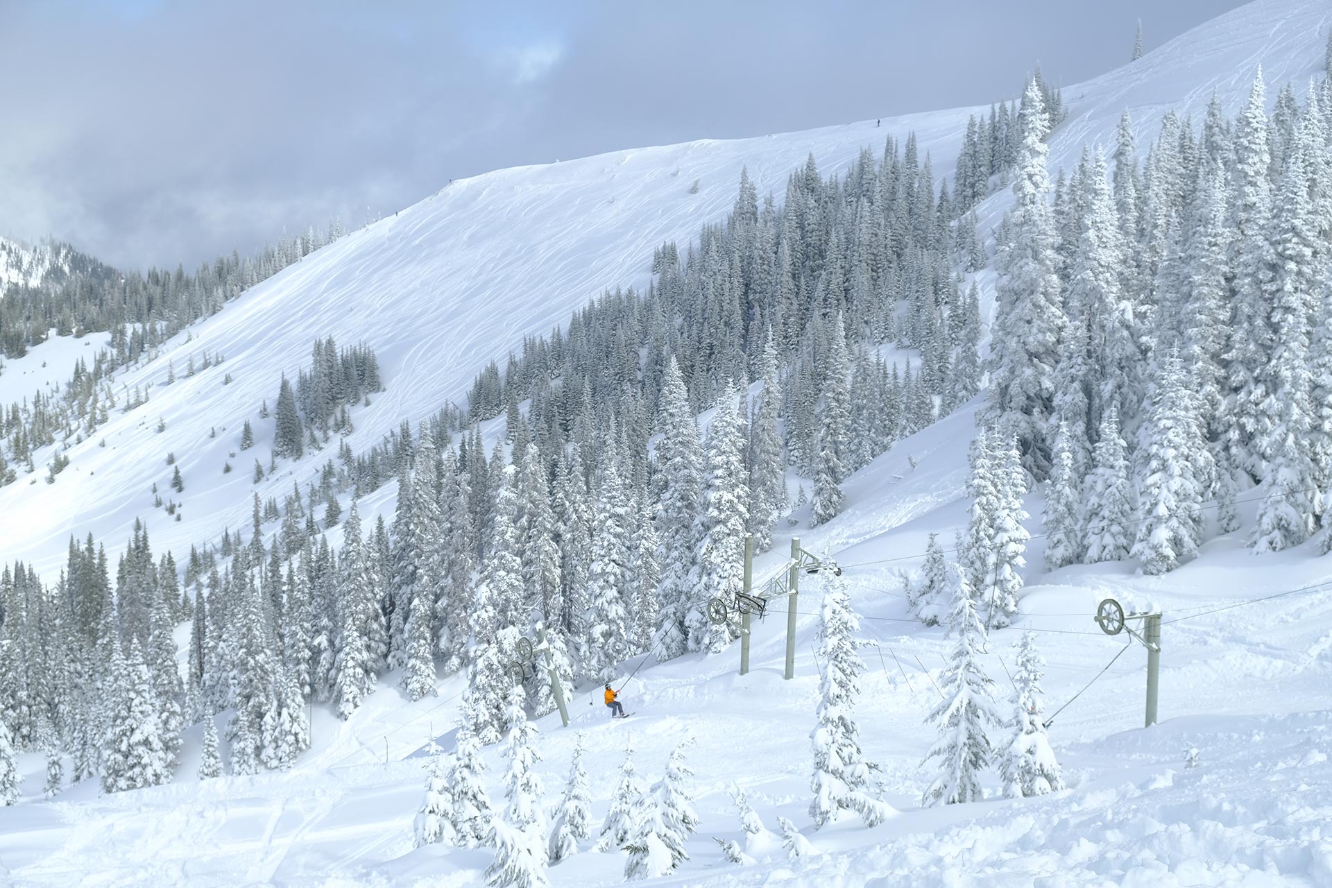 Hurricane Ridge in USA - a snow covered mountain.